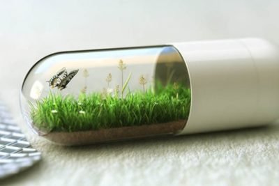 natural nootropics capsule