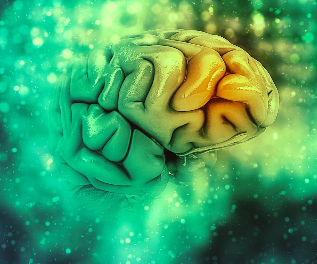 Best Nootropic Stack To Boost Your Brain Power | Voted Best Nootropics